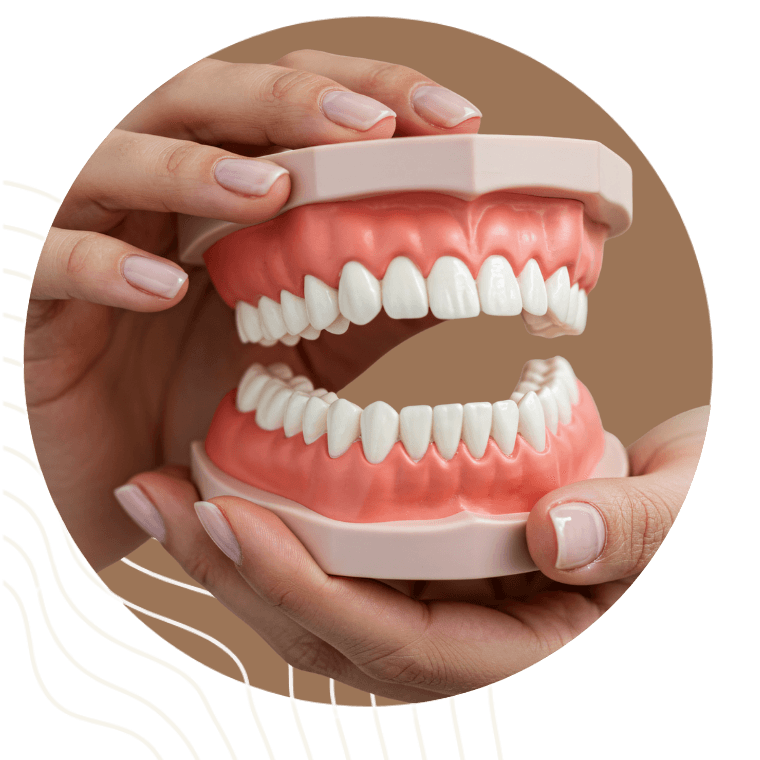 Model szczęki z górnym i dolnym łukiem zębowym trzymany w obu dłoniach